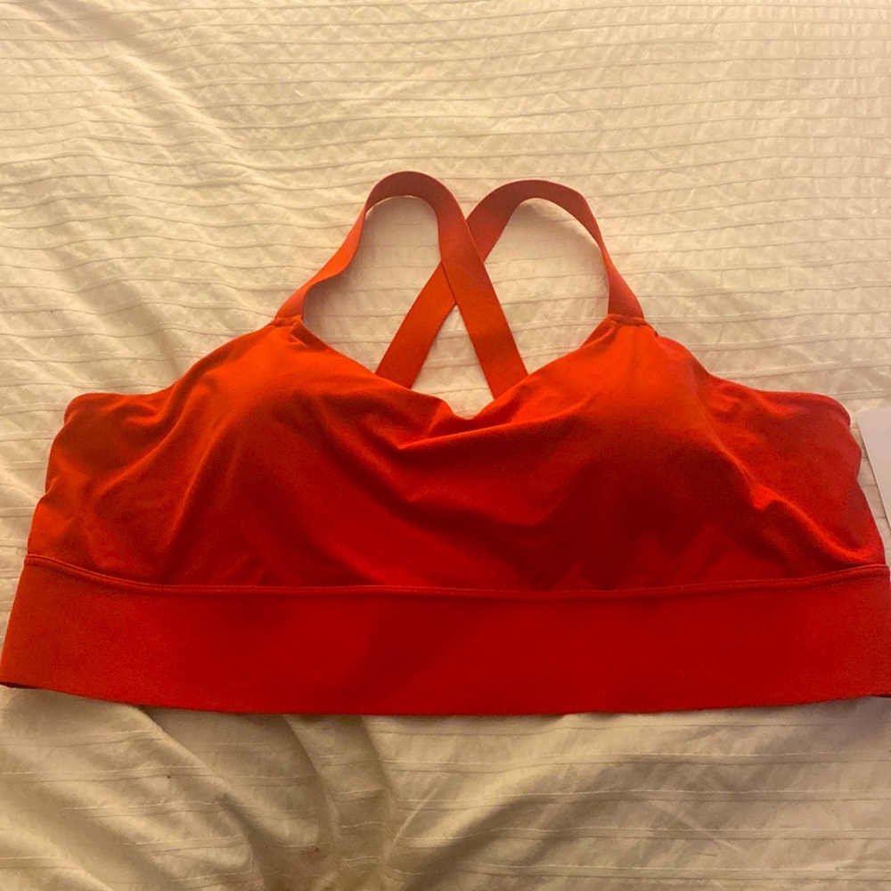 D-DD Warrior Longline Bra in PowerVita